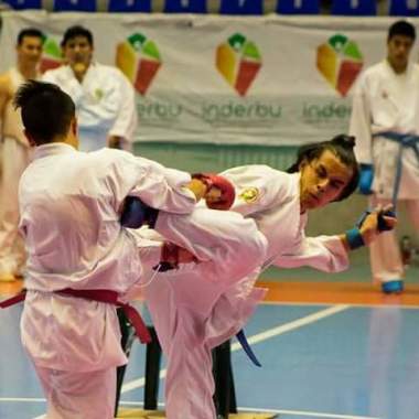 Entrenador de Karate