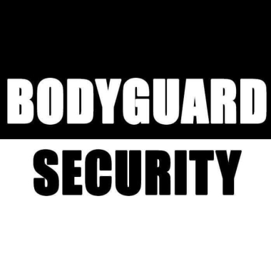 Bodyguard / Motorista / Investigação