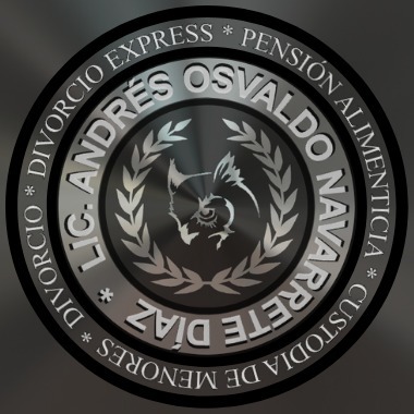 Lic. Andrés Osvaldo Navarrete Díaz