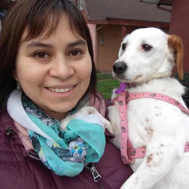 Médico Veterinario