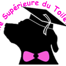 Ecole Supérieure du Toilettage Toulouse