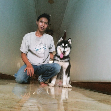 Yadi dogtrainer