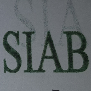 TALLER SIAB