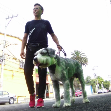 Paseo de perros con Alex