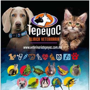 CLÍNICA VETERINARIA TEPEYAC