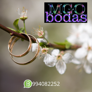 MGO 994082252