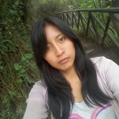 Paseo de Mascotas