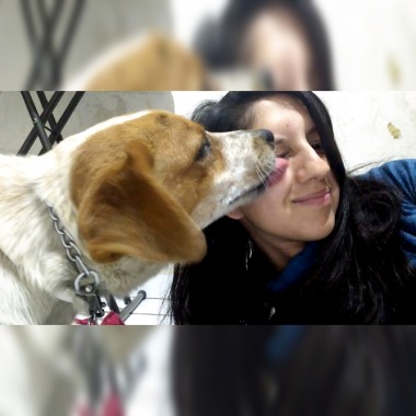 Cuidador canino