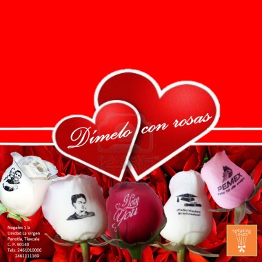 Dímelo con Rosas