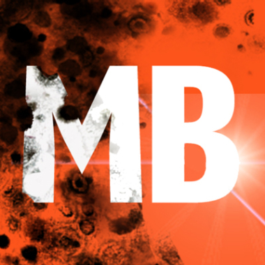 Mold Busters Ottawa