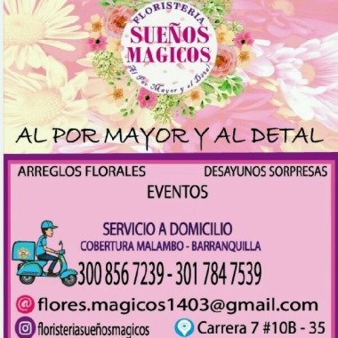 Floristería sueños magicos
