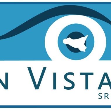 In Vista