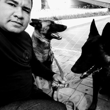 Escuela de obediencia canina puebla