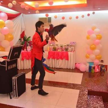 Eds magic show party entertainer