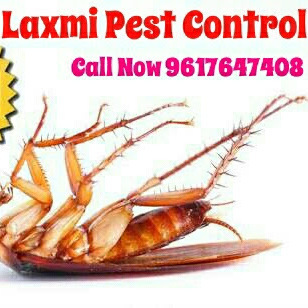 Laxmi Pest Control Services