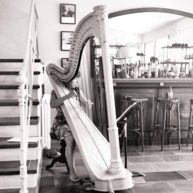 Harpiste et professeur de harpe (DE de harpe)