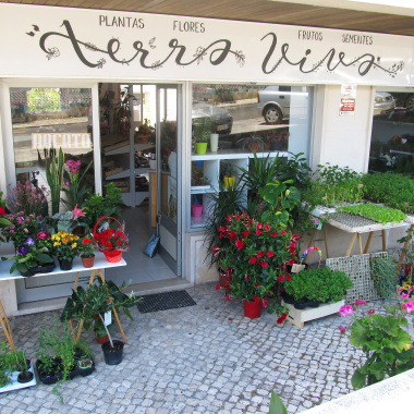 Terra Viva