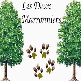 Les Deux Marronniers