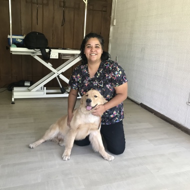 ACCESS VET