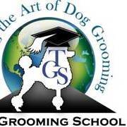 The Grooming School