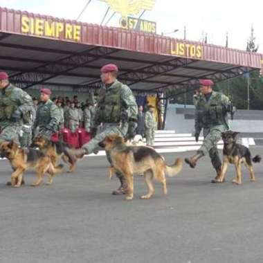 MARIO LOPEZ adiestramiento canino