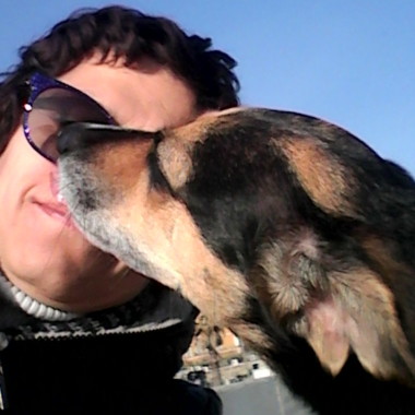 Dog sitter