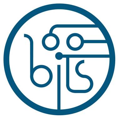 100 Bits SAS