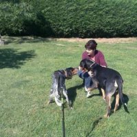 Chris'pension Familiale Canine "Canin Heureux"