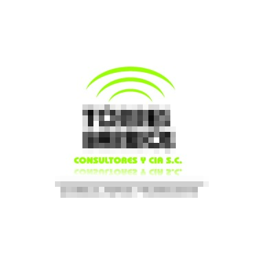 TORRES BARRIOS CONSULTORES Y CIA S.C.