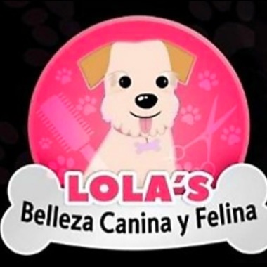 Lola" Belleza canina y Felina