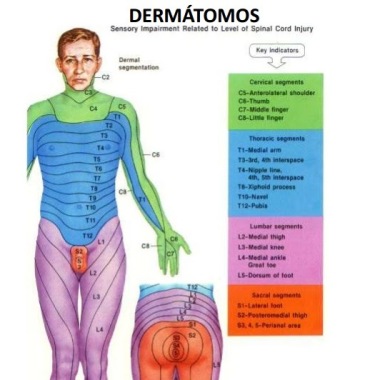 Homefisio