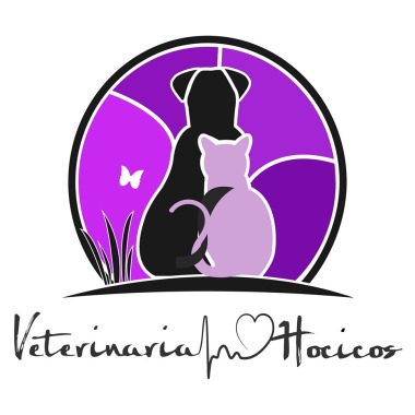 Hocicos