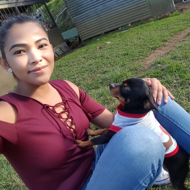 Pesando en esto de pasear a perritos