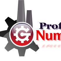 PROFIL NUMERIQUE