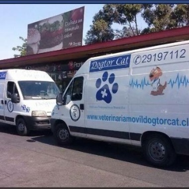 Veterinaria Movil DogtorCat