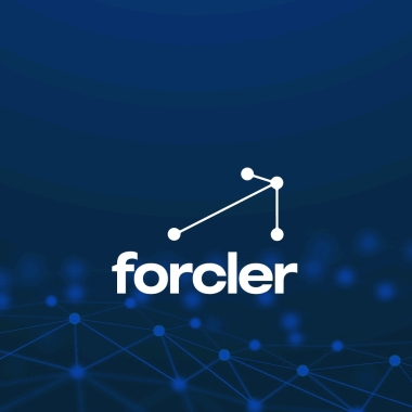 Forcler Consultoria Empresarial Ltda