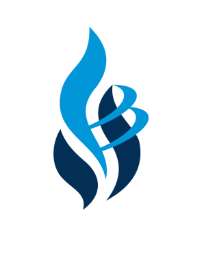 BUSINESS LAND CONTADORES PUBLICOS