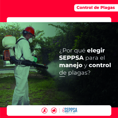 Seppsa Fumiespecial SAS