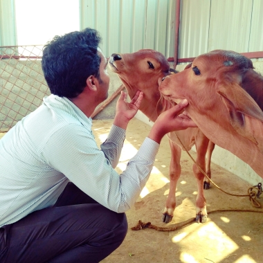 Madhukar N M