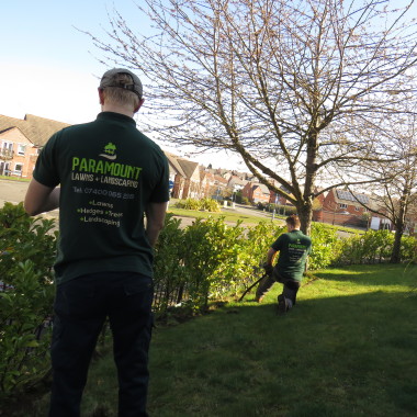 Paramount Landscaping