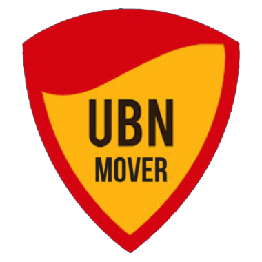 UBN Speed (https://demenager-pas-cher.re)