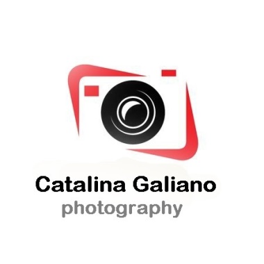 Camera Cat