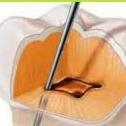Consultorio Dental Dr William Duque