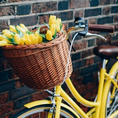 BikeFlowers