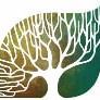 DNA - De Naturae Animus