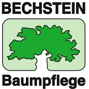 Bechstein Frank Baumpflege GmbH