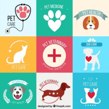 Lara de Melo - Pet Care