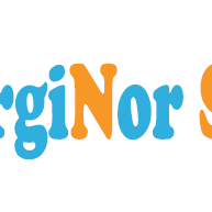 ENERGINOR SERVICES SAS