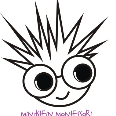 Mind Stein