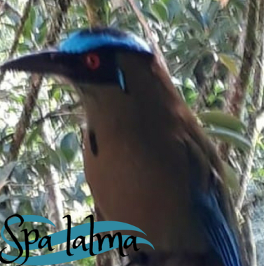 Spa lalma